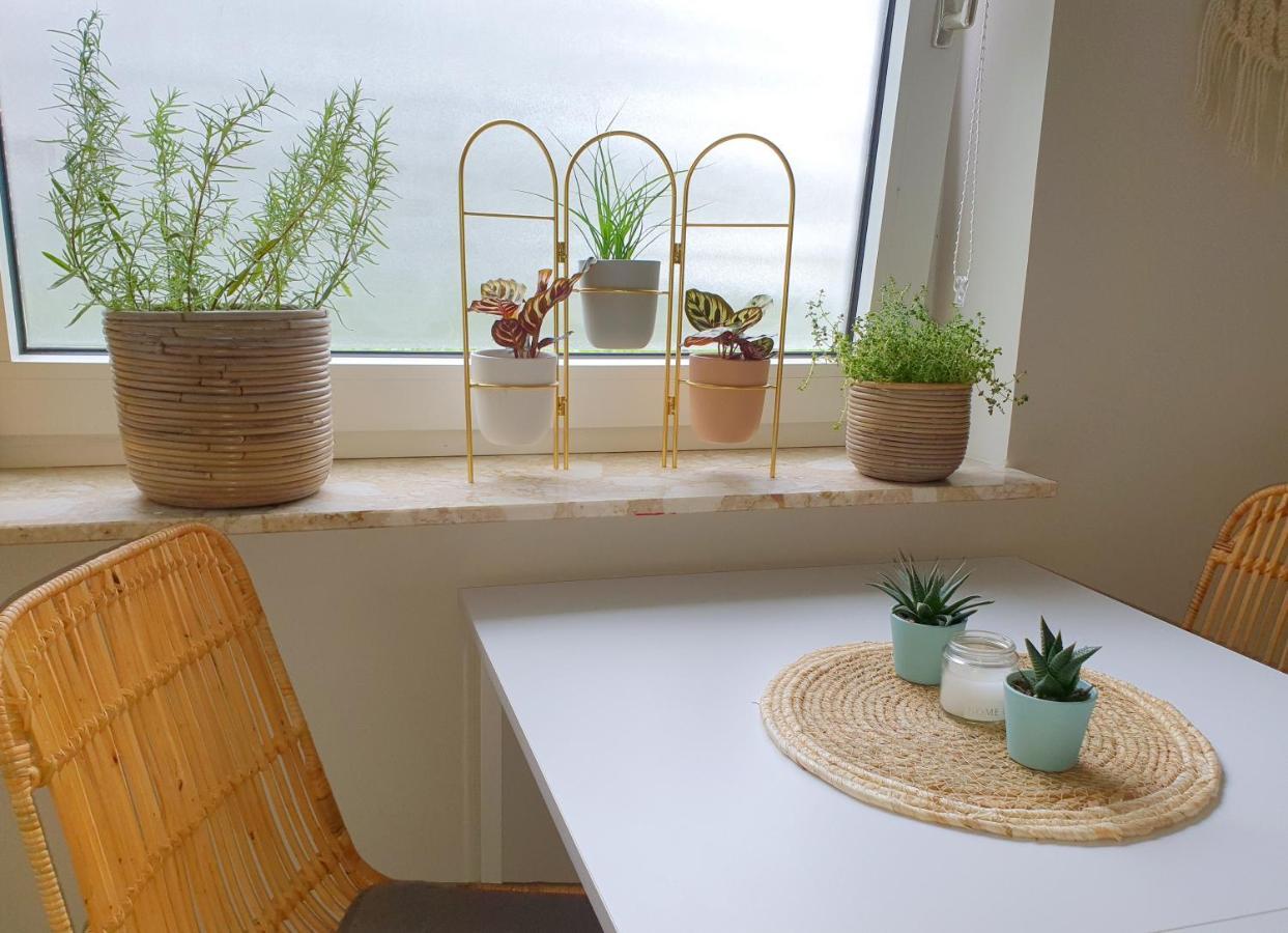 Boho Apartment 올덴부르크 외부 사진